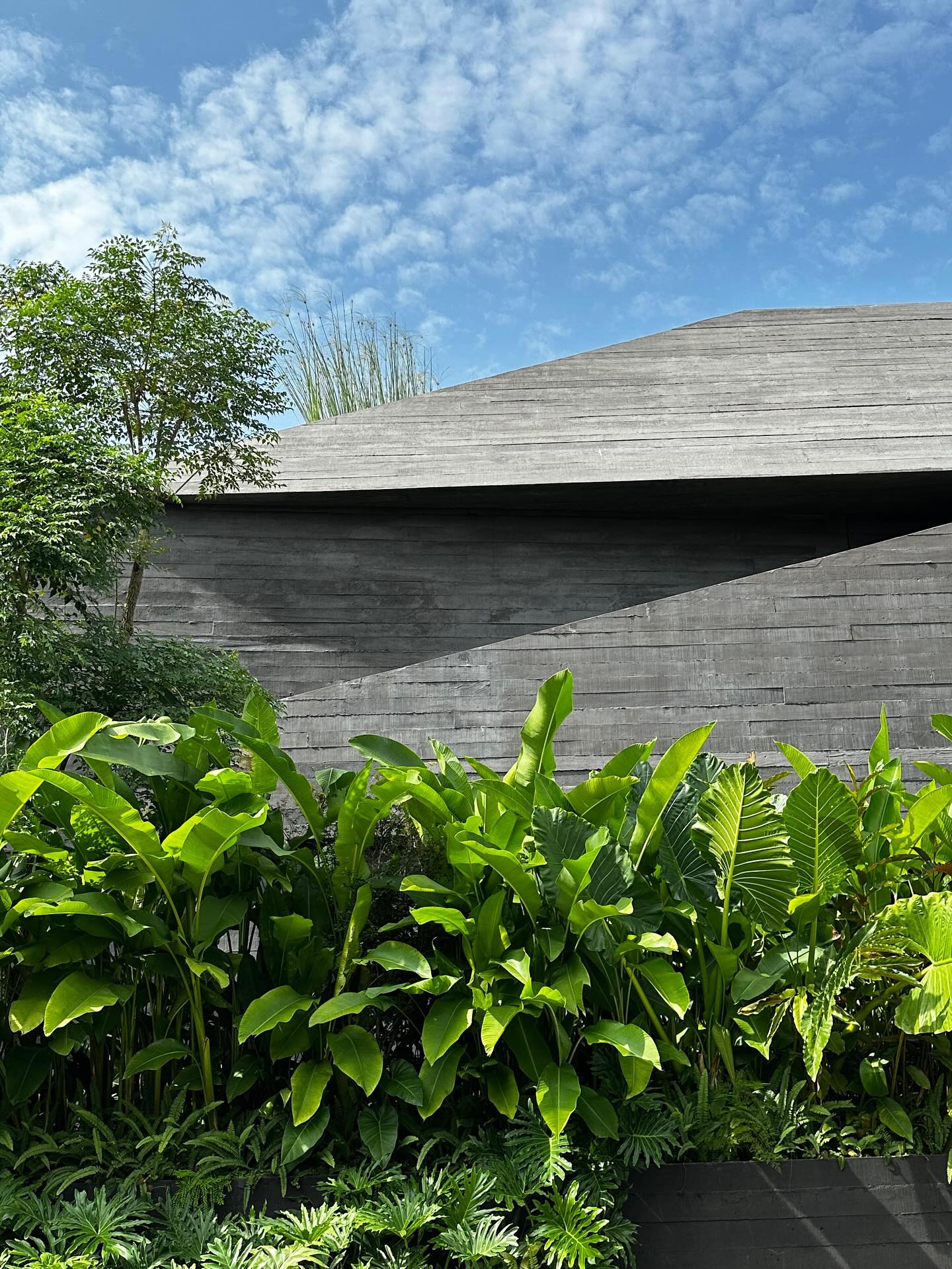 Senopati Green Pocket